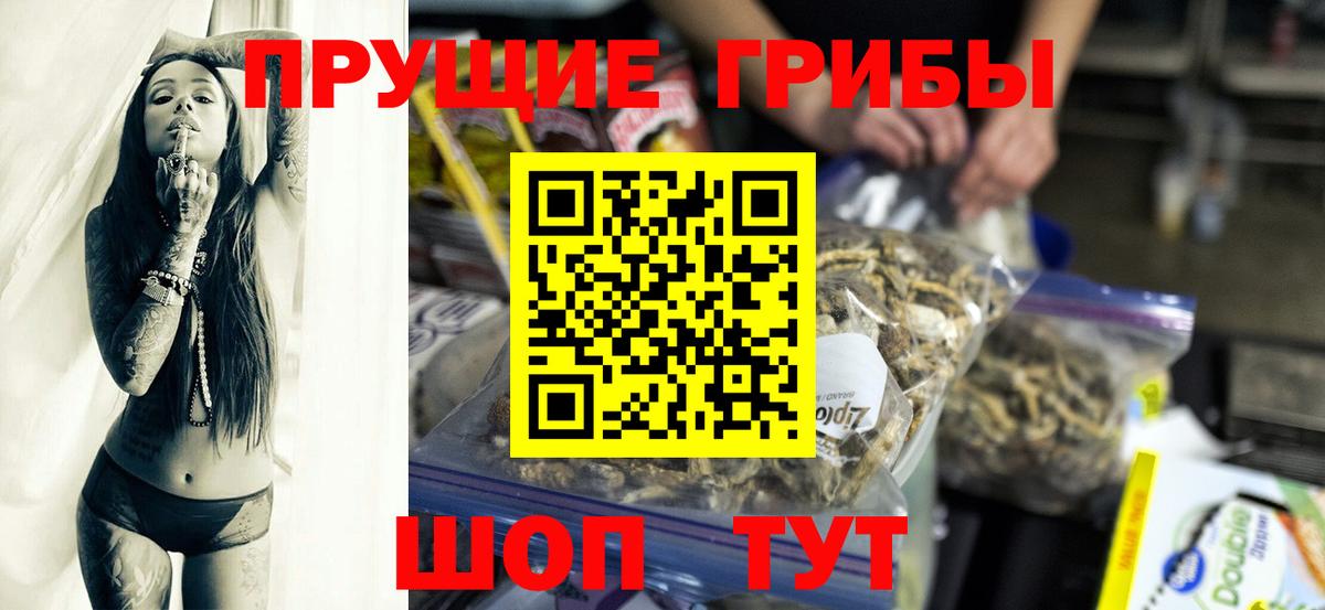 Галлюциногенные грибы Magic Shrooms  Вход с VPN  Фрязино  Псилоцибиновые грибы Psilocybine cubensis 